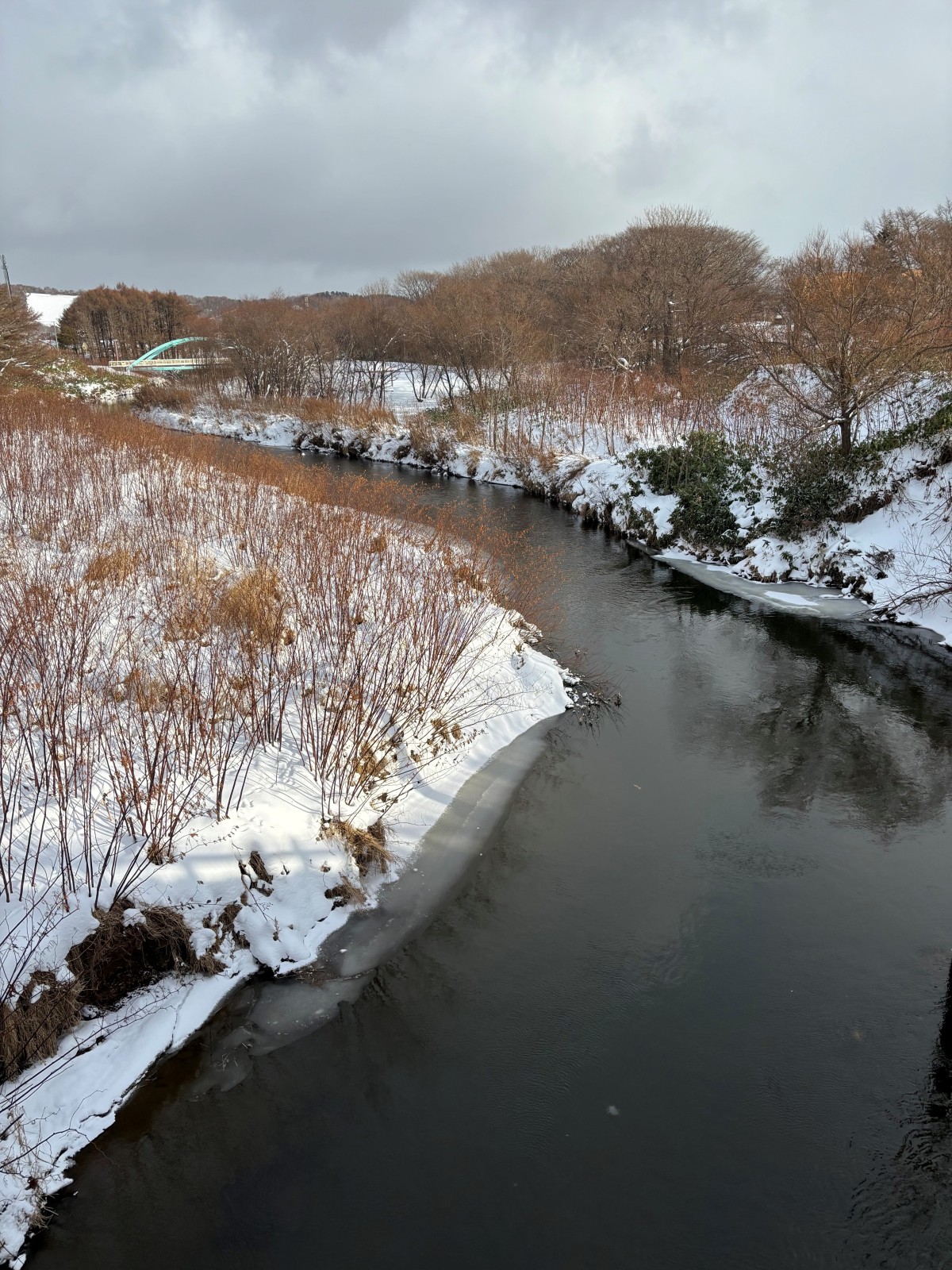 2024年ありがとうございました。雪雪雪雪雪