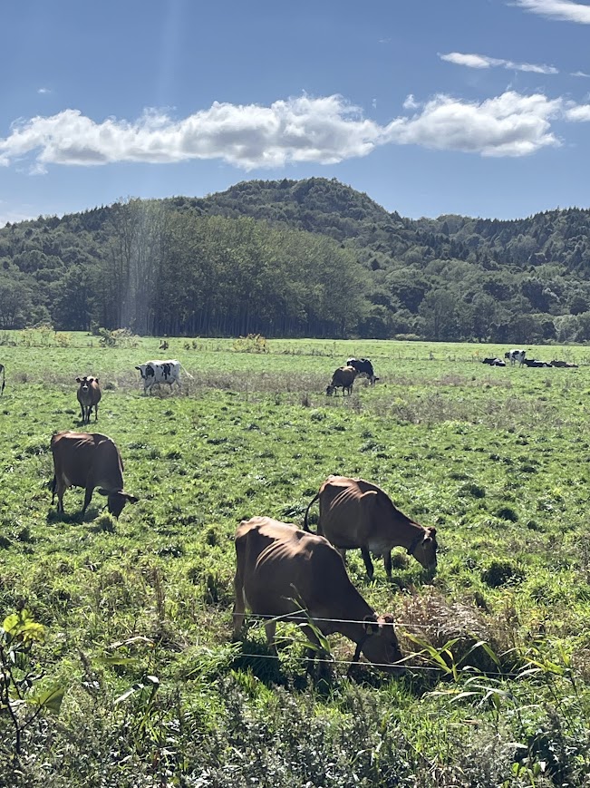 ザ・豊富の秋の空～そうなんですよ～