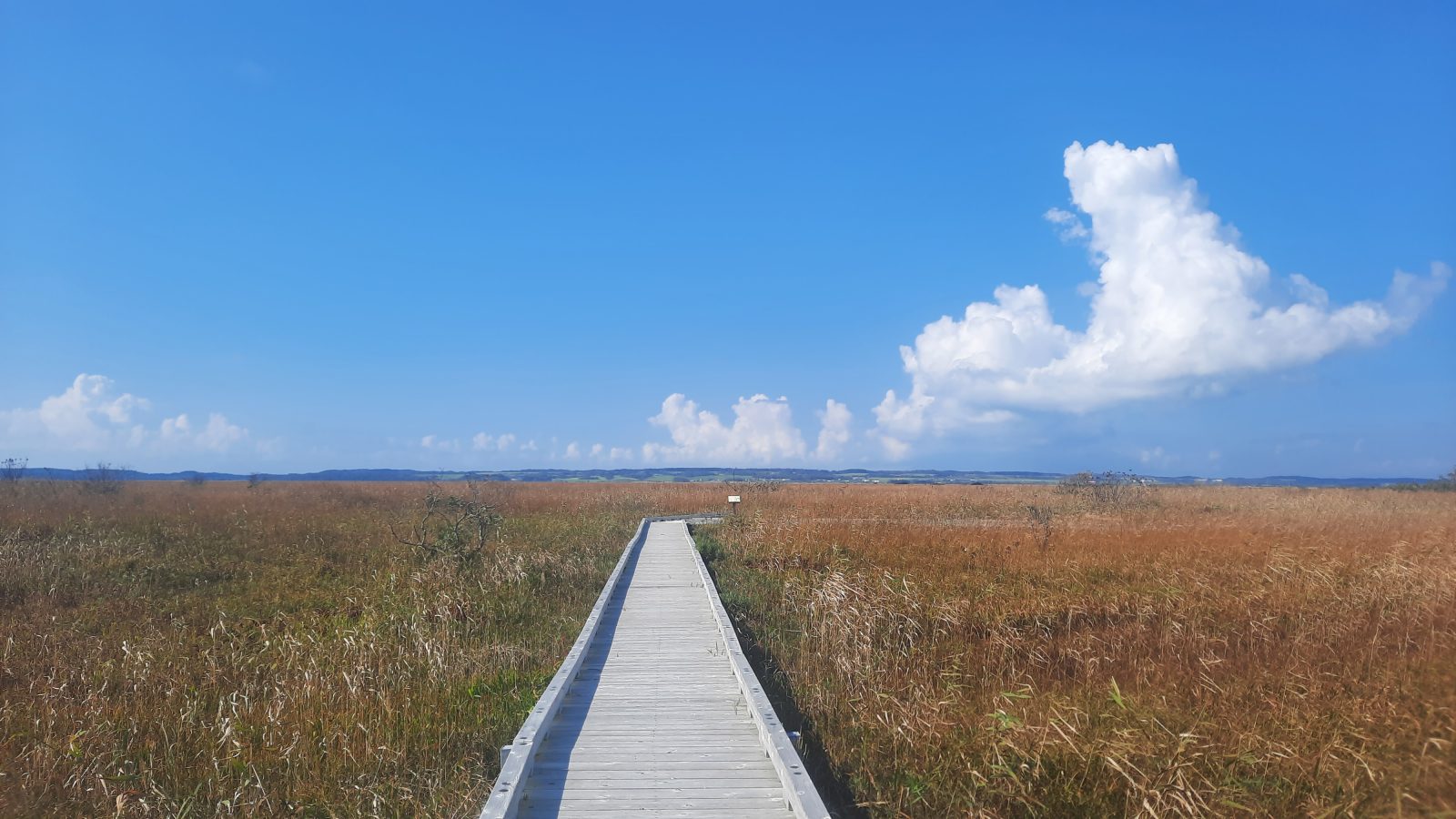 身体の”声”を聞く練習・・