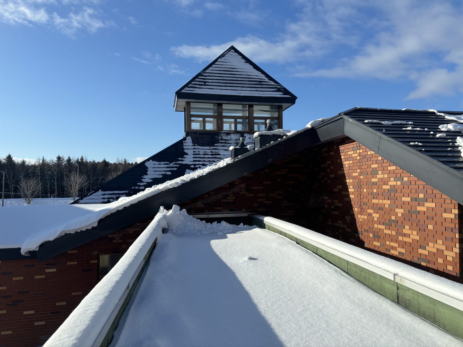 雪も牛乳も白い