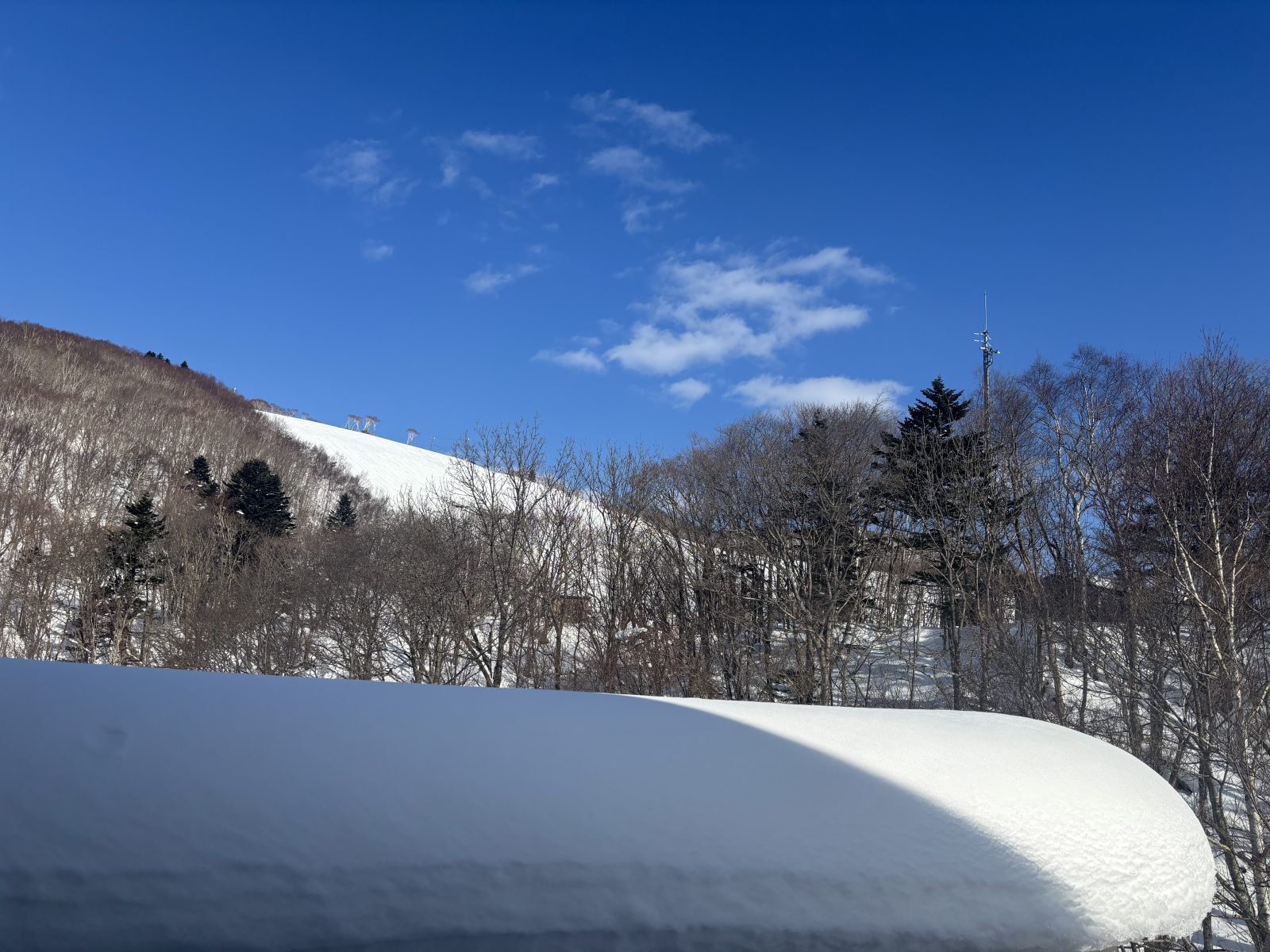 100周年まであと約100日